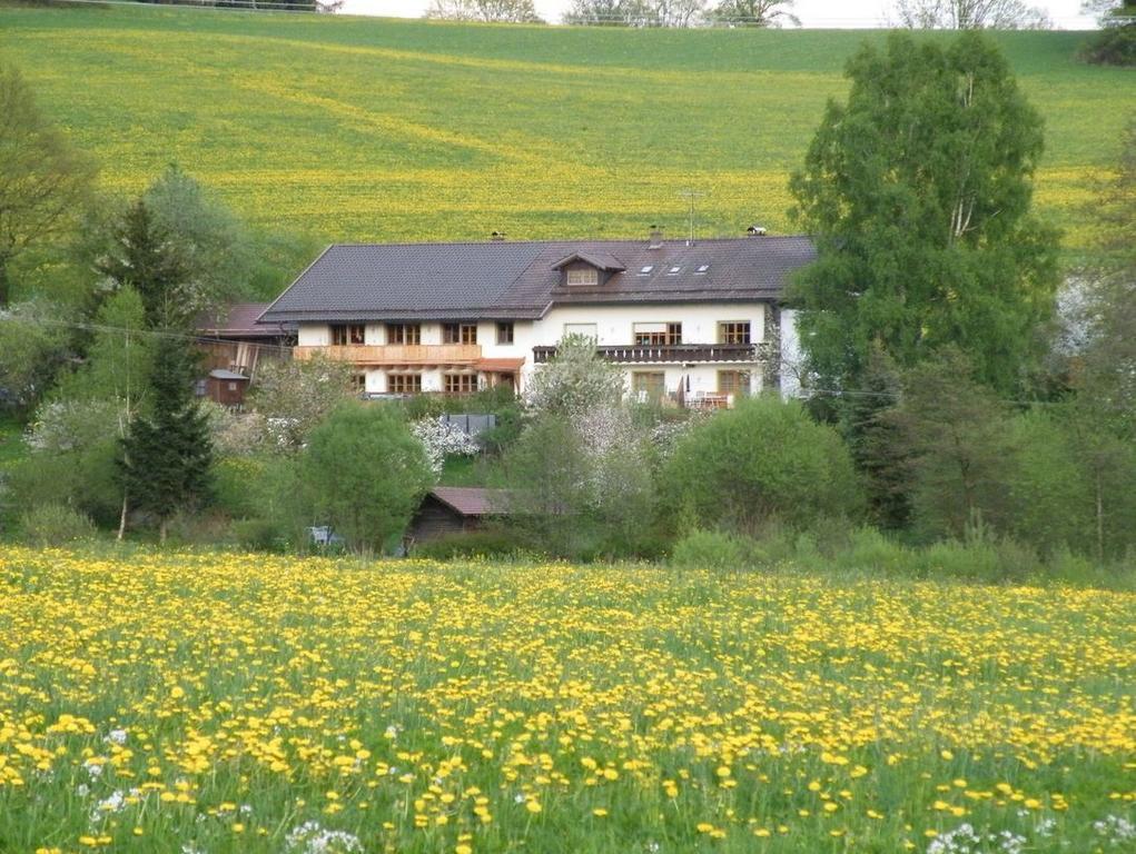 Pension Landhaus Riedelstein Drachselsried Extérieur photo