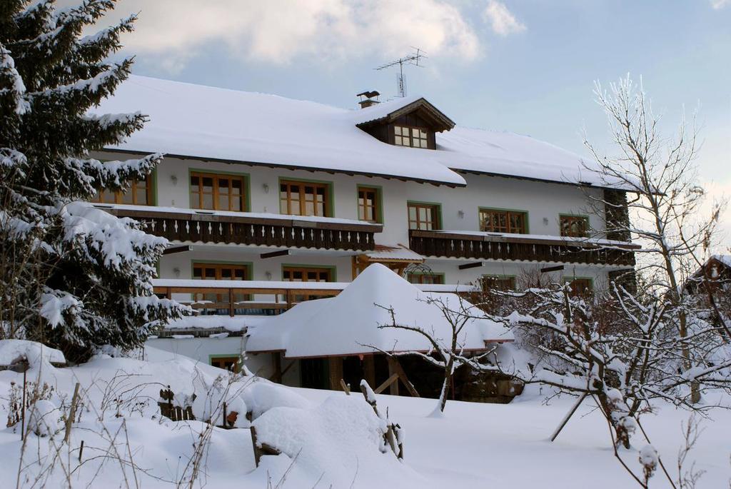 Pension Landhaus Riedelstein Drachselsried Extérieur photo